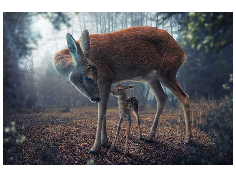 3-piece-canvas-print-mother-and-fawn