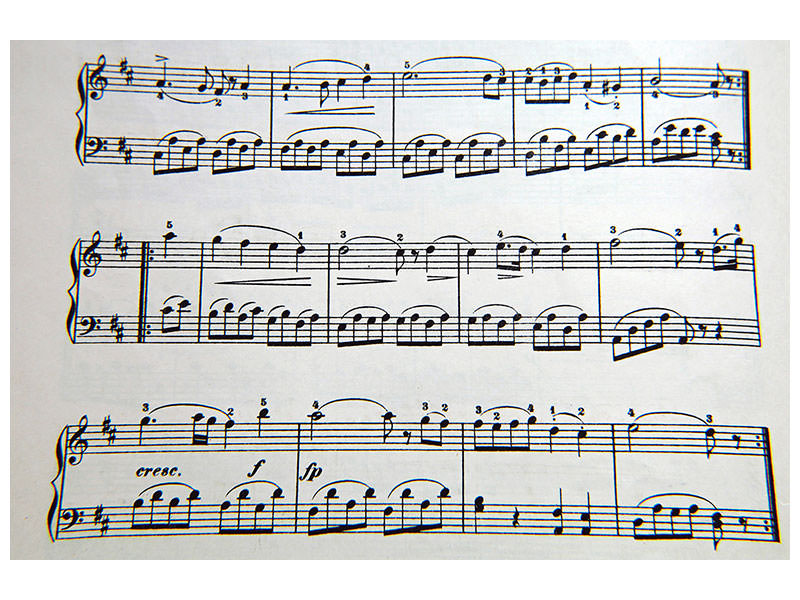 4-piece-canvas-print-music-notes