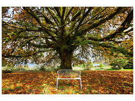 5-piece-canvas-print-my-favorite-tree
