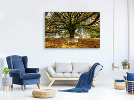 4-piece-canvas-print-my-favorite-tree