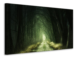 4-piece-canvas-print-mysterious-forest-iii