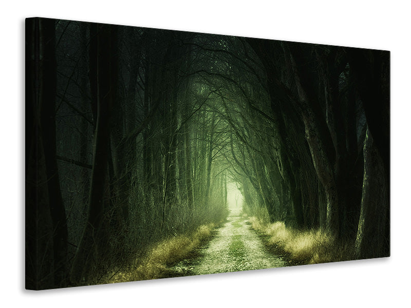 3-piece-canvas-print-mysterious-forest-iii