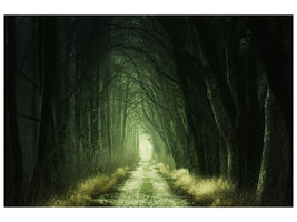 5-piece-canvas-print-mysterious-forest-iii
