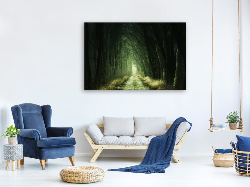4-piece-canvas-print-mysterious-forest-iii