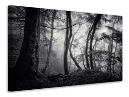 modern-4-piece-canvas-print-mysterious-light