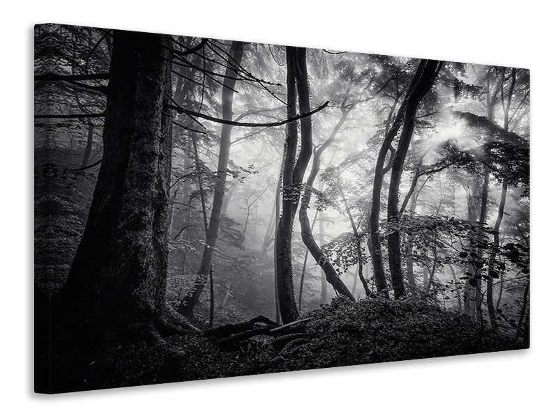 4-piece-canvas-print-mysterious-light