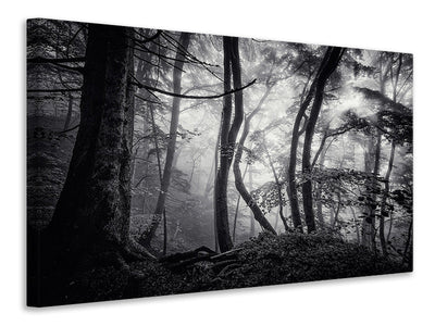 3-piece-canvas-print-mysterious-light