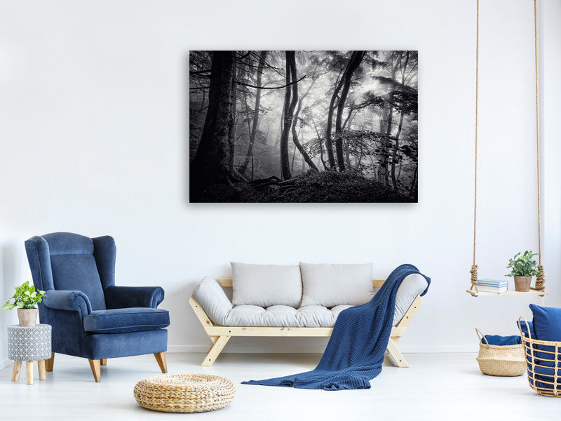 modern-3-piece-canvas-print-mysterious-light