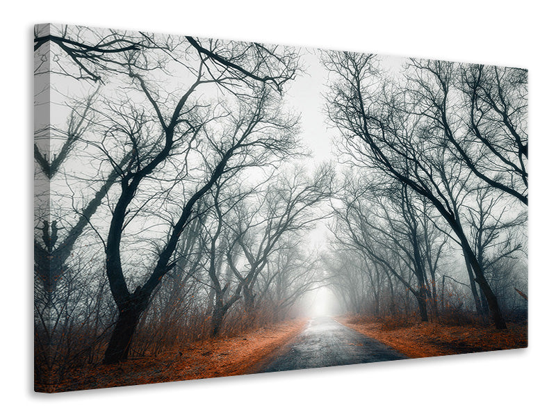 5-piece-canvas-print-mysterious-mood-in-the-forest
