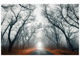 modern-4-piece-canvas-print-mysterious-mood-in-the-forest