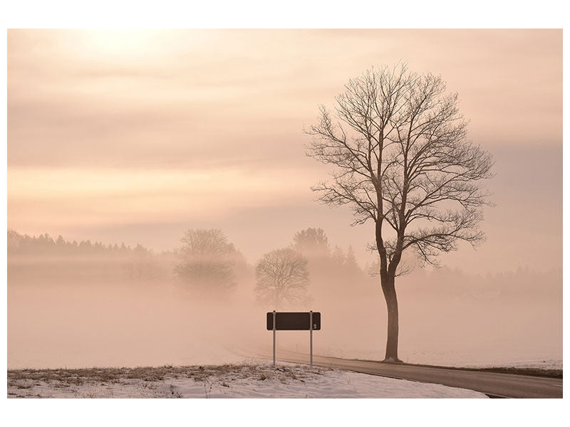 3-piece-canvas-print-mystic-mood-in-nature