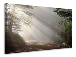 3-piece-canvas-print-mystical-light-in-the-forest