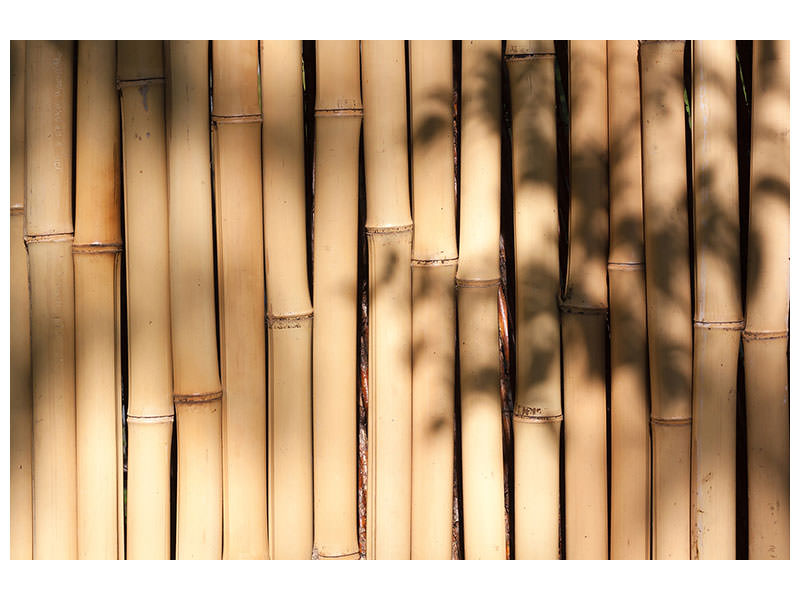 panoramic-canvas-print-natural-bamboo