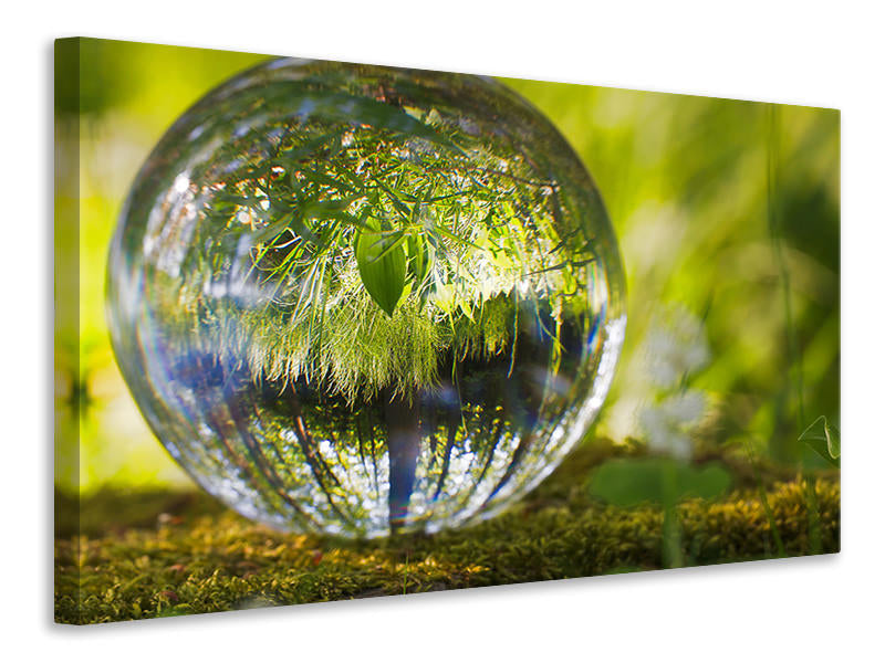 3-piece-canvas-print-nature-ball