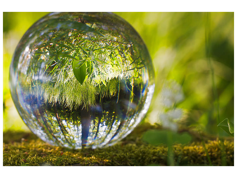 3-piece-canvas-print-nature-ball