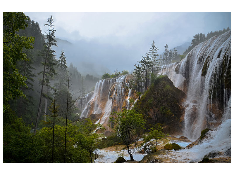 3-piece-canvas-print-nature-beauty