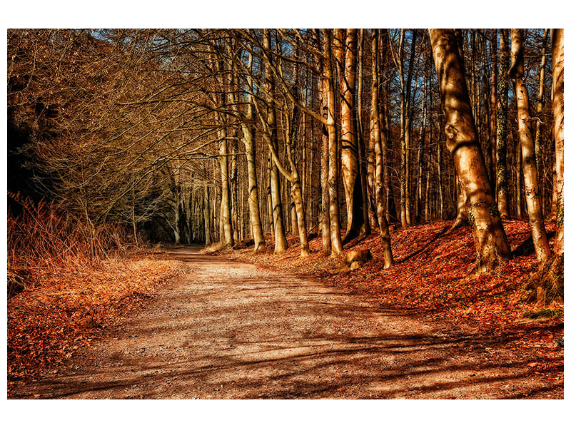 3-piece-canvas-print-nature-in-autumn