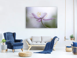 5-piece-canvas-print-nemorosa-ii