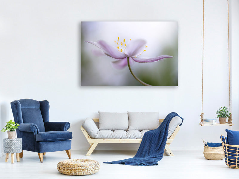 3-piece-canvas-print-nemorosa-ii