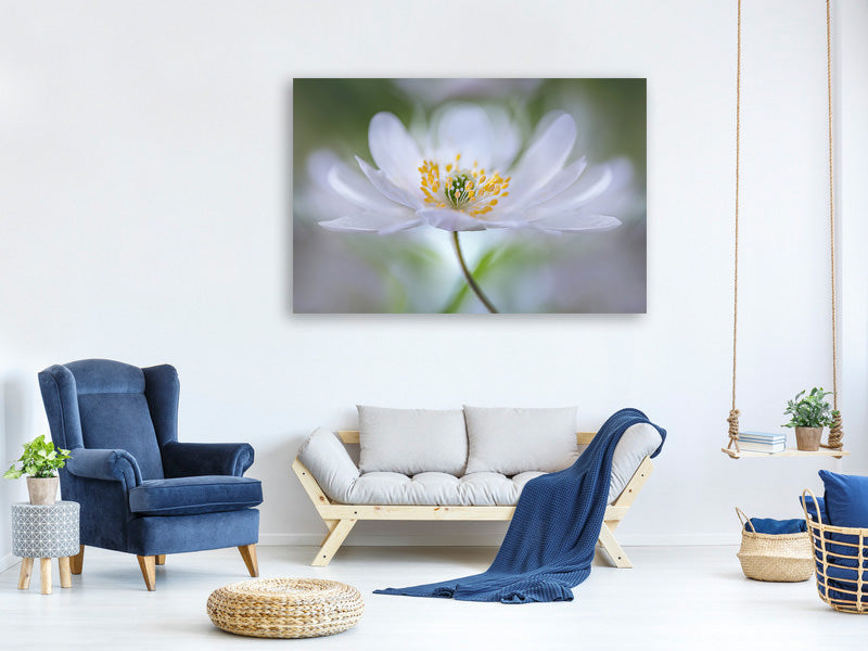 panoramic-3-piece-canvas-print-nemorosa-nirvana