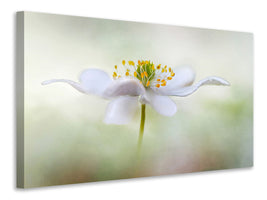 5-piece-canvas-print-nemorosa