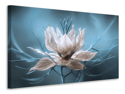 5-piece-canvas-print-nigella