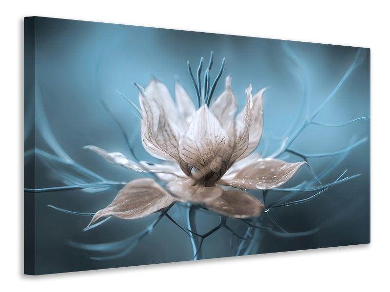 modern-3-piece-canvas-print-nigella