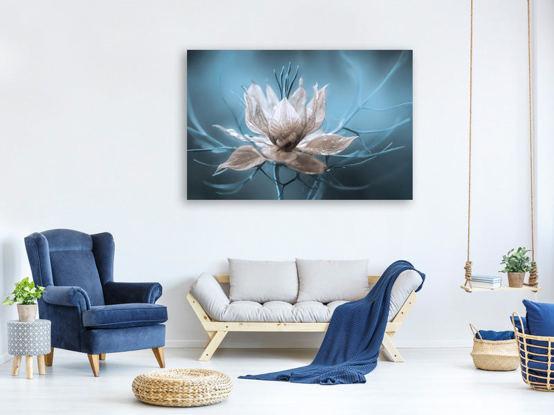 4-piece-canvas-print-nigella