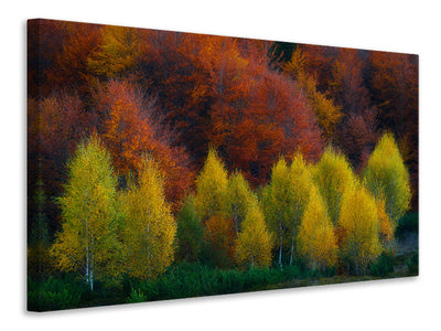 modern-3-piece-canvas-print-nimbrethil