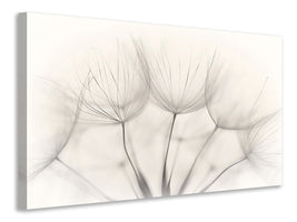 panoramic-canvas-print-no-title