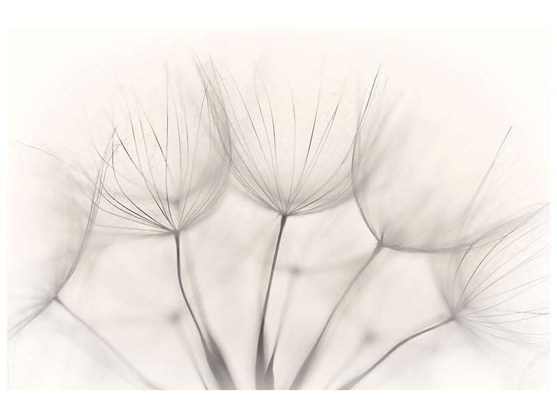 panoramic-canvas-print-no-title