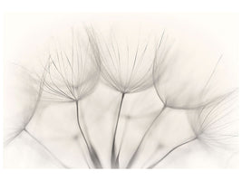 4-piece-canvas-print-no-title