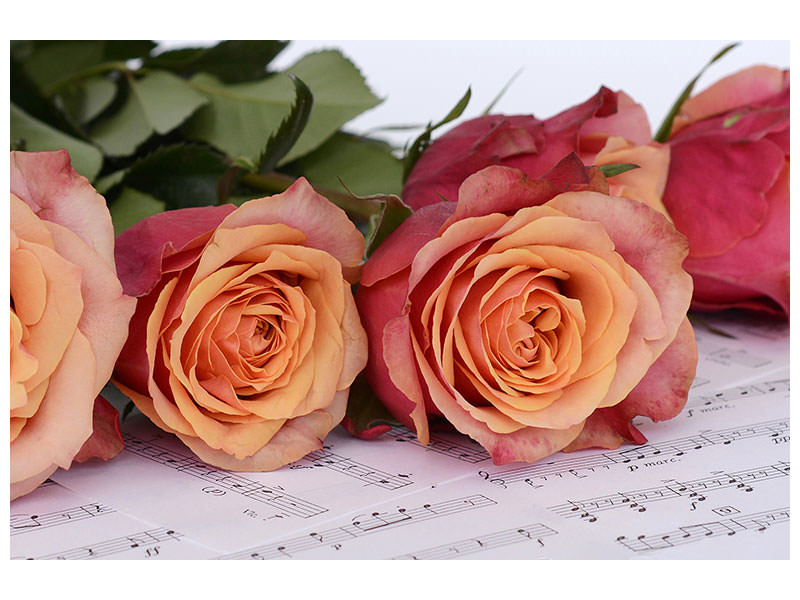 3-piece-canvas-print-notes-of-love