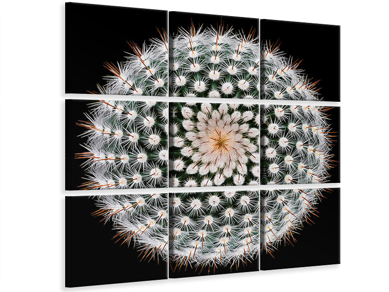 canvas-print-notocactus-scopa