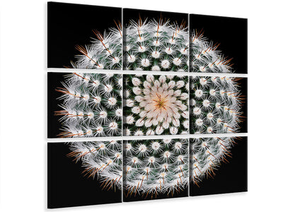 canvas-print-notocactus-scopa