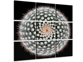 4-piece-canvas-print-notocactus-scopa