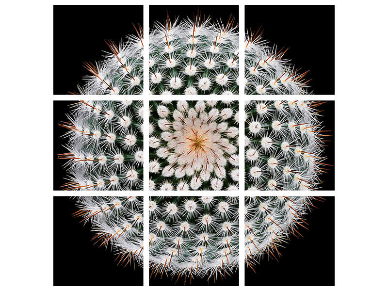 4-piece-canvas-print-notocactus-scopa