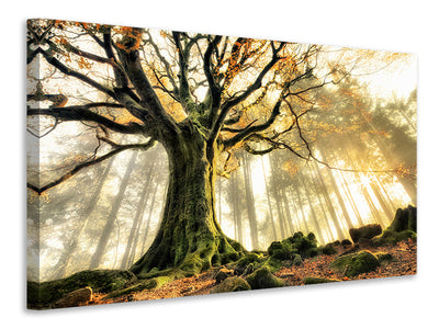 modern-4-piece-canvas-print-november