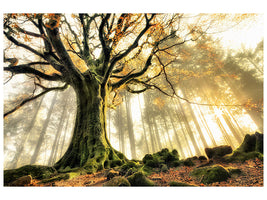 4-piece-canvas-print-november