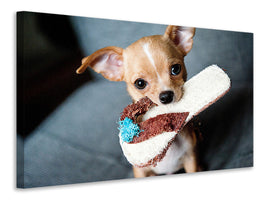 3-piece-canvas-print-obedient-chihuahua