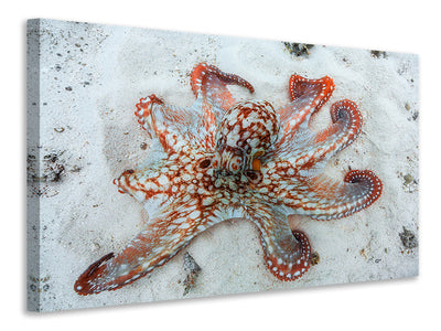 3-piece-canvas-print-octopus-a