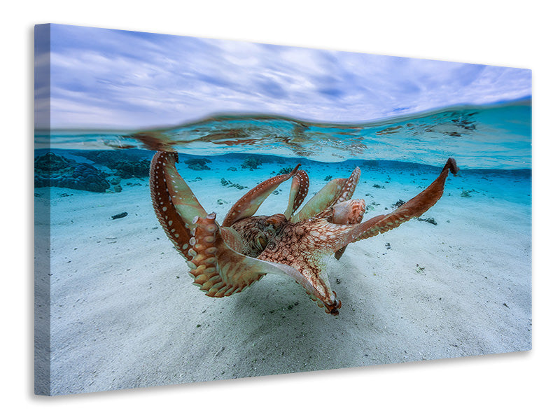 3-piece-canvas-print-octopus-ii