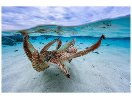 modern-3-piece-canvas-print-octopus-ii