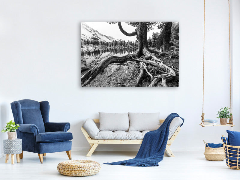 5-piece-canvas-print-old-tree