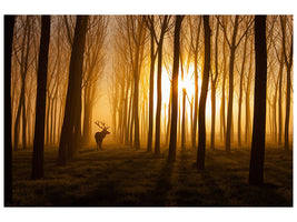 modern-4-piece-canvas-print-once-upon-a-time