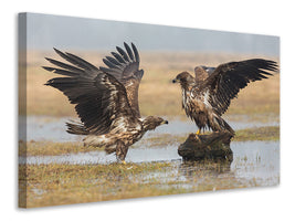 3-piece-canvas-print-open-wings