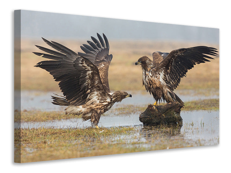 3-piece-canvas-print-open-wings