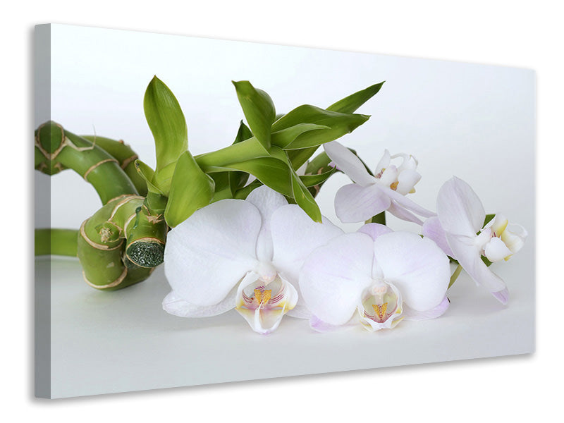3-piece-canvas-print-orchid-and-bamboo