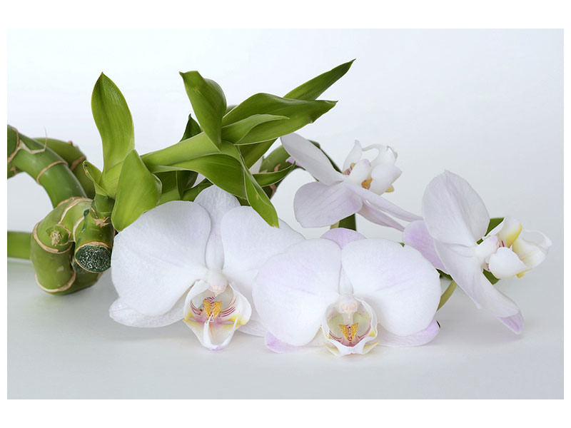 3-piece-canvas-print-orchid-and-bamboo