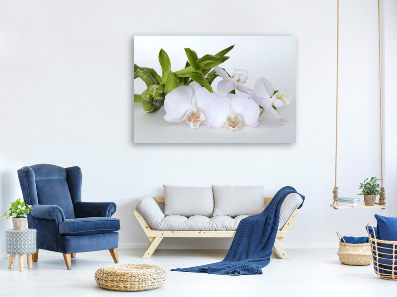 3-piece-canvas-print-orchid-and-bamboo